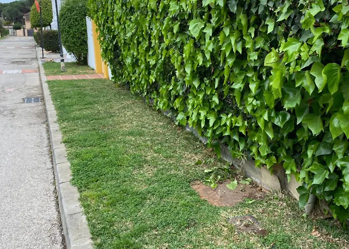 Once Fila Nocleg ze śniadaniem *